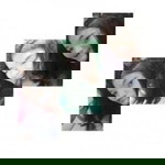 อรติญา วิชิตบุตร profile icon