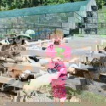 นฤมล  แซ่โค้ว profile icon