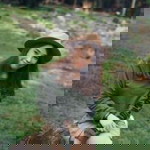 Sppohujxb Pink profile icon