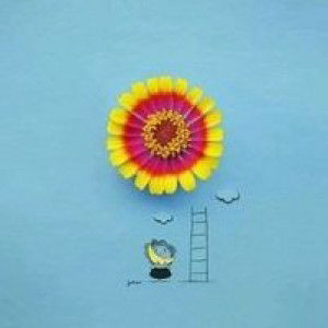 Feby Frayitna Ningsi profile icon