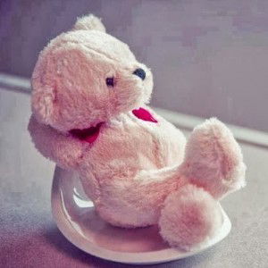 Anh Tran profile icon