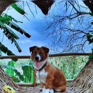 Rhizza Mhae Pagulayan profile icon