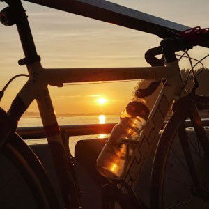 Monkey-Verse profile icon