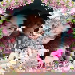 Nur Hawa profile icon