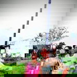 Charlene Borromeo Hibana profile icon