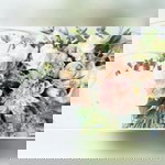 Rikaa Karmila profile icon