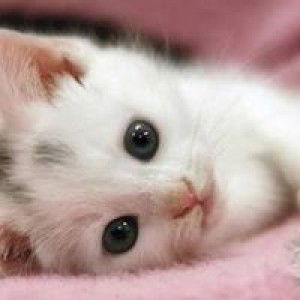 Geralyn Garado profile icon