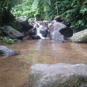 SaMaRa Family profile icon