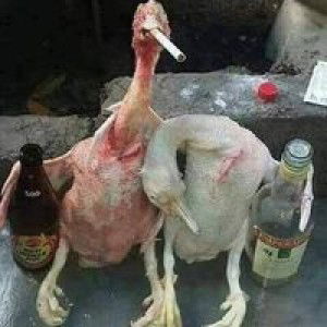 Defendly Izz profile icon