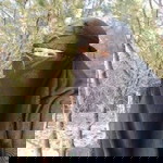 MayMey profile icon