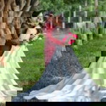 Khesarin Suphokai profile icon