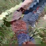 Gelz Kii profile icon