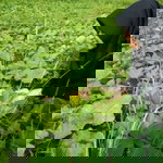 Fathya Alraihan profile icon