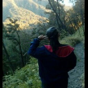 Discha Aldina profile icon