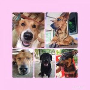 Tidarat Anantarakitti profile icon