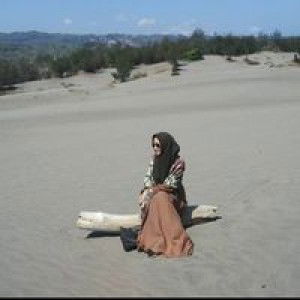 Anindya M Hanum S profile icon