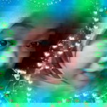 Sukiyah profile icon