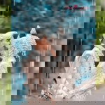 Yumidisc profile icon