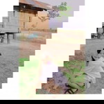 ปวีณา าา profile icon