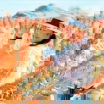 Konwika Choowong profile icon