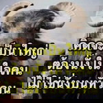 ไม่สวย แต่อร่อย profile icon