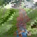 Nittaya Masuk profile icon