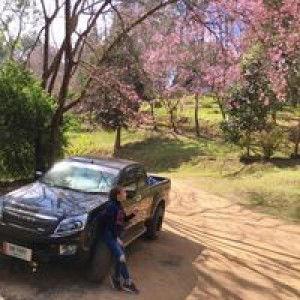 สุกัญญา สอนเขื่อน profile icon