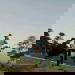 Ahmad Amad profile icon