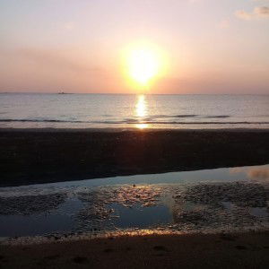 Raudatul Jannah profile icon