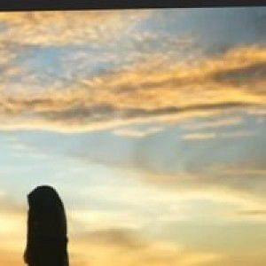 Alleshop profile icon