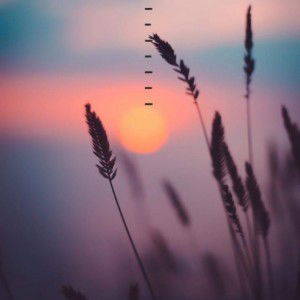 putri samvita profile icon