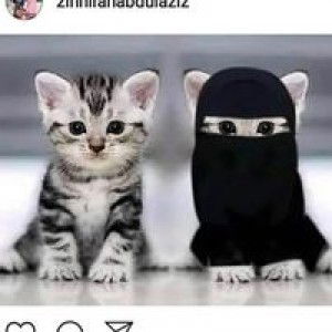 Firdiwi Qalisha Aliasyanabella profile icon