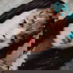 Jhovelyn Lelis profile icon