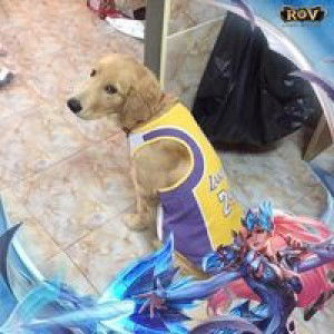 วันศิริ วงศ์กมลสกุล profile icon