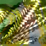 Erica Abonita Cabanilla profile icon