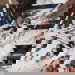 Preaw Siriwichai profile icon