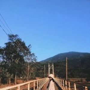 Kim Anh profile icon