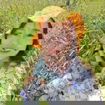 Khwansakul Hanboonsri profile icon