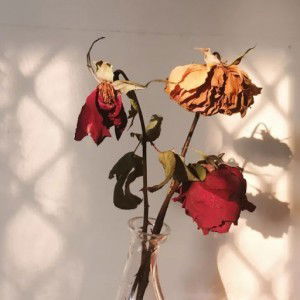 Linda Wati profile icon