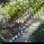 ฉันกับเขา. เธอเลือกใคร profile icon