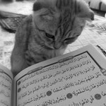 Fitria Rahma profile icon