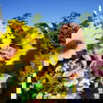 Helen Grace Legayada profile icon