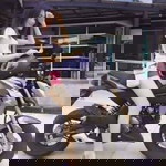 ศิริรัตน์ รักใคร่กลาง profile icon