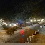 Marvz B. Fortunato profile icon