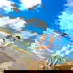 Linh Thùy profile icon