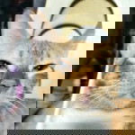 Marygrace Taguran profile icon