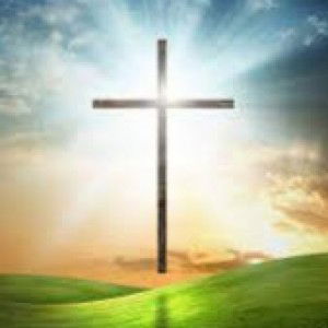 hanh dao profile icon