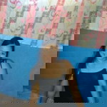 Lea Magno Ignacio Opeña profile icon