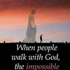 Hayan Gat profile icon