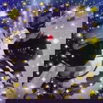 V - Sianipar profile icon